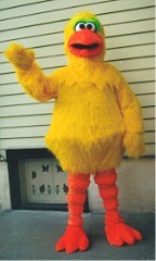 Yellow Bird Costume