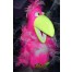 Blklt Hot Pink Funny Bird 