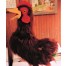 Rooster Puppet 